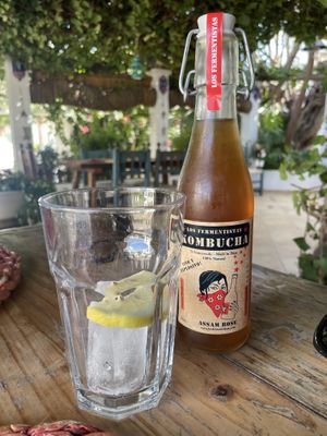 Kombucha  at Esfigueral in Ibiza