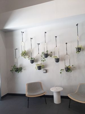 Plant wall inside at Cartel Coffee Lab - Downtown Phoenix in Phoenix