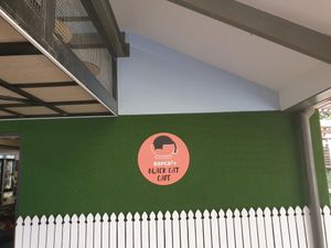 Cute little cafe at RSPCA Black Cat Café in Wacol