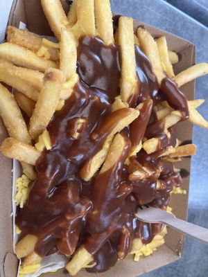 Poutine   at RSPCA Black Cat Café in Wacol