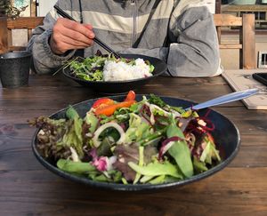 🍀🌱💚🌞  at GAO Vegan in Leipzig