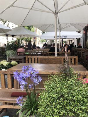   at GAO Vegan in Leipzig