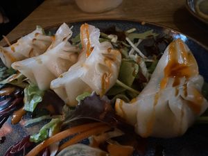 dumplings  at GAO Vegan in Leipzig