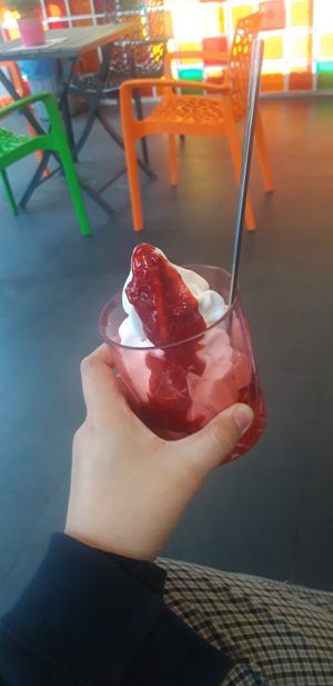 veganer frozen yogurt mit himbeersauce at Icery in Sylt