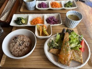   at Magokoro in Kamakura