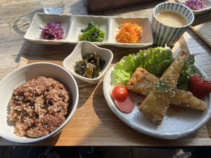   at Magokoro in Kamakura