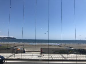 View outside at Magokoro in Kamakura