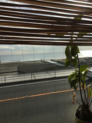 Kamakura beach view at Magokoro in Kamakura