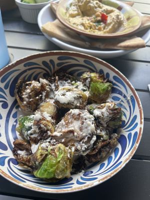   at Falafel x Bar in Jacksonville