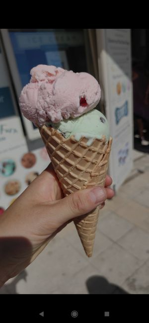  at Lulworth Estate Ice Cream Parlour in Wareham