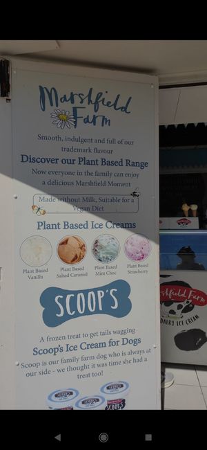  at Lulworth Estate Ice Cream Parlour in Wareham