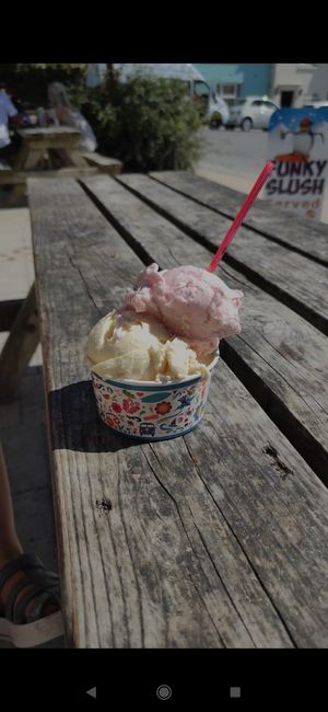  at Lulworth Estate Ice Cream Parlour in Wareham