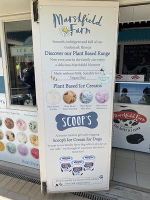 Plant based ice cream menu   at Lulworth Estate Ice Cream Parlour in Wareham