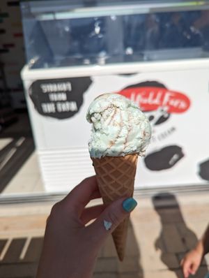  at Lulworth Estate Ice Cream Parlour in Wareham