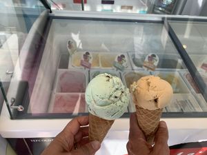 Plant based mint chocolate and salted caramel.   at Lulworth Estate Ice Cream Parlour in Wareham