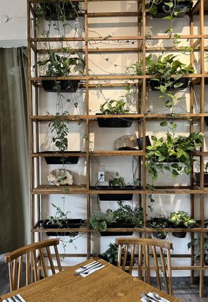   at Soltribe Cuisine in San Miguel De Allende