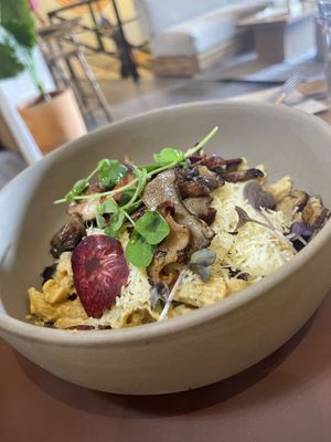 Mac & Cheese w/seasonal mushrooms (also gluten free!)  at Soltribe Cuisine in San Miguel De Allende