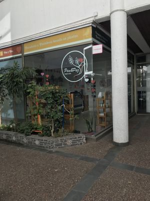 foto del local desde fuera, para que puedan reconocerlo  at Panadería y Pastelería Pan & Paz - Maybe closed in Vina Del Mar