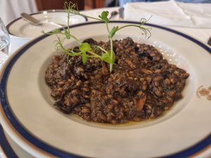  at Mata do Buçaco Bar in Bucaco