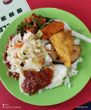 Nasi Lemak with added cabbage. Fried wanton with courtesy of owner at Gan En 感恩素食 in Central Singapore
