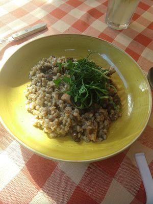 Pearl barley rizotto with forest mushrooms at Stég Pub Pizzéria in Tihany