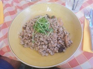 Mushroom risotto at Stég Pub Pizzéria in Tihany
