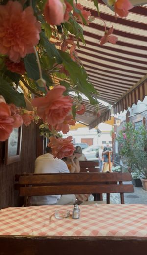 The view from my table towards the main entrance  at Stég Pub Pizzéria in Tihany