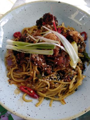 Noodles (September 2024) at Lounges - Athro Lounge in Aberystwyth