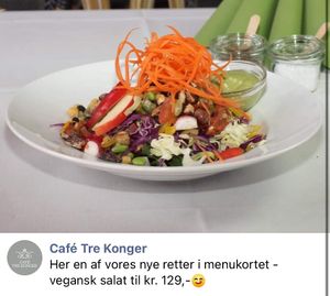 Vegan salad at Café Tre Konger in Soroe