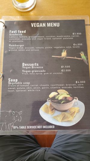 Vegan menu at Cafe la Semilla in Bijagua