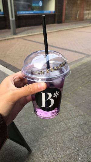 the lavender  at Bloom's Heerlen in Heerlen