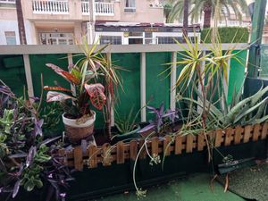 The patio of El Patio at El Patio in Albir