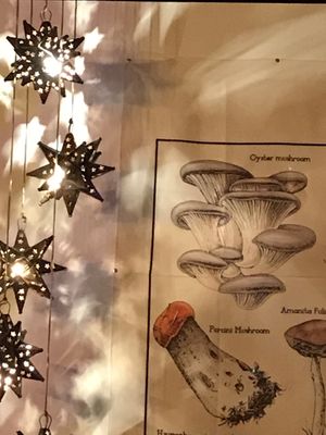 Decoración  at Mushroom Bar in Montevideo