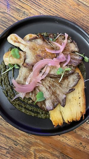   at Mushroom Bar in Montevideo