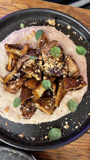   at Mushroom Bar in Montevideo