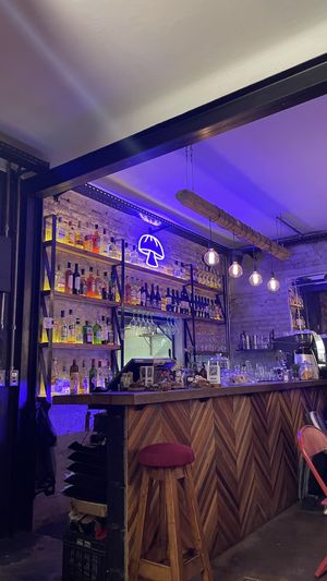   at Mushroom Bar in Montevideo