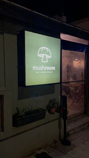   at Mushroom Bar in Montevideo