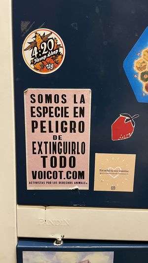   at Mushroom Bar in Montevideo