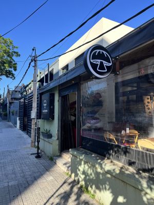   at Mushroom Bar in Montevideo