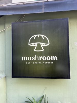   at Mushroom Bar in Montevideo