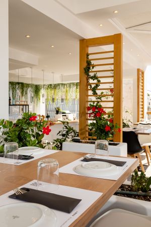 Our lovely and planty terrace! at 5SENSES Restaurant in Santorini