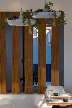 Our lovely and planty terrace! at 5SENSES Restaurant in Santorini