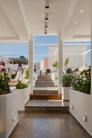 Our lovely and planty terrace! at 5SENSES Restaurant in Santorini