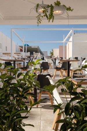 Our lovely and planty terrace! at 5SENSES Restaurant in Santorini
