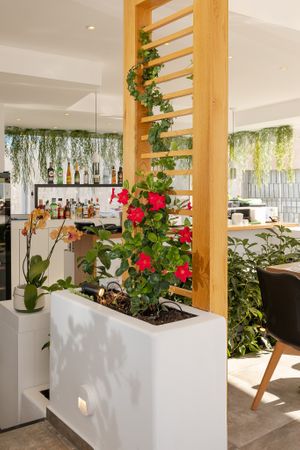 Our lovely and planty terrace! at 5SENSES Restaurant in Santorini