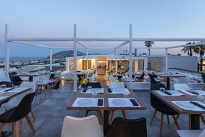 Our lovely and planty Open Air Restaurant ! at 5SENSES Restaurant in Santorini