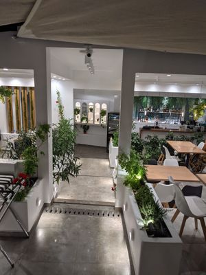 Green and beautiful space at 5SENSES Restaurant in Santorini