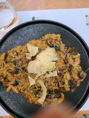 Mushroom orzo at 5SENSES Restaurant in Santorini