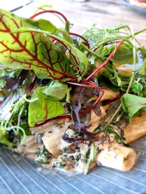 Pasta with spinach and mushrooms at Posthuset in Esbjerg