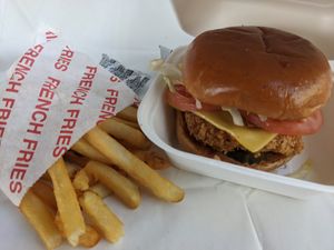 Deluxe with fries at Project Pollo - Anderson Lane in Austin